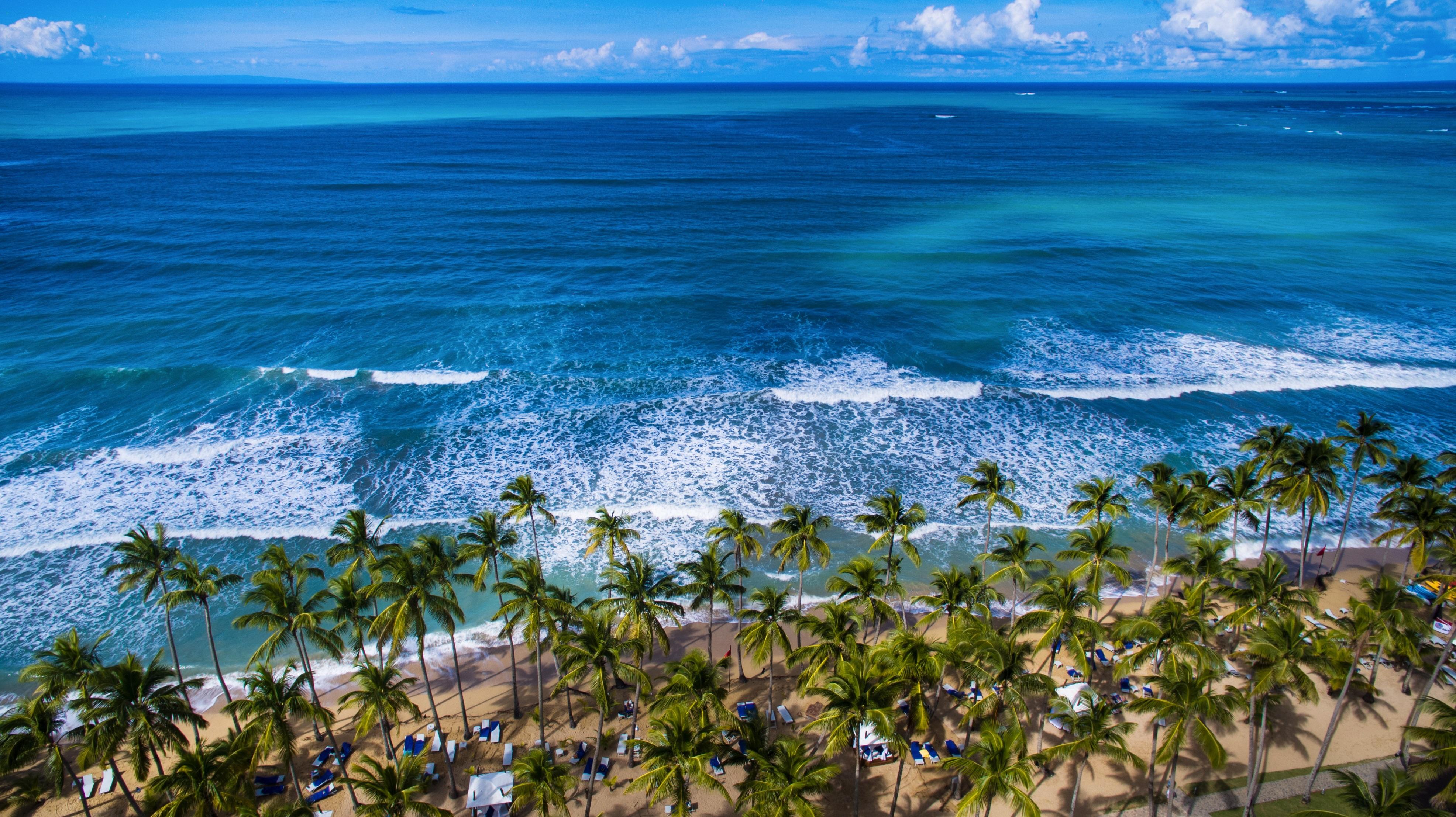 Viva V Samana By Wyndham, A Trademark Adults All Inclusive Las Terrenas Ngoại thất bức ảnh Atlantic Ocean shoreline in Punta Cana